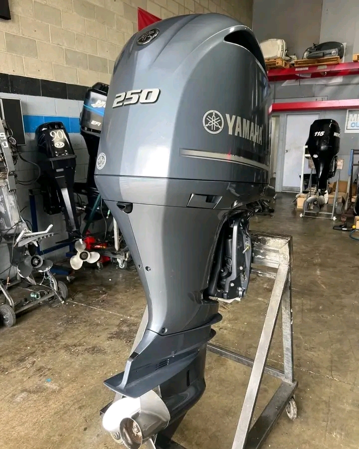 yam 250 b